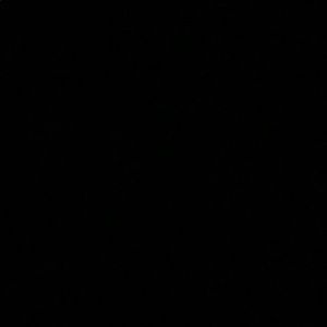 Meet your Posher, Jacqueline